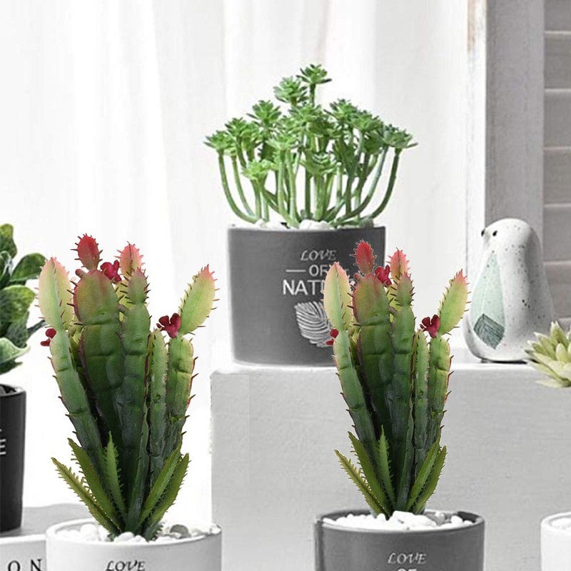 Bluecell 2pcs Real Looking Artificial Cactus Artificial Cacti Plant DIY Material for Home Decoration Flower Arrangement - Image 5
